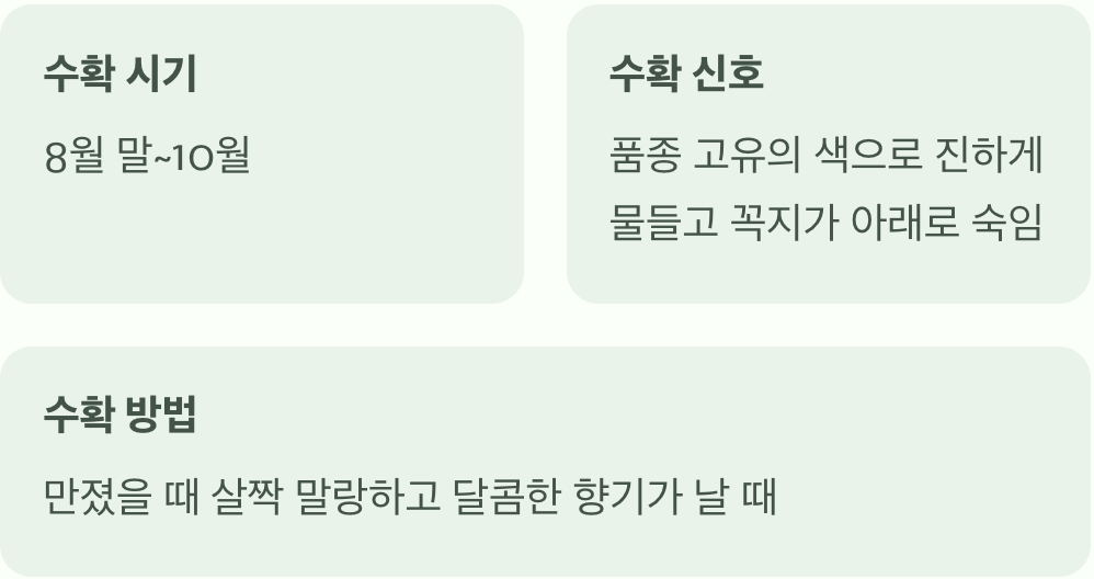 가장 달콤한 순간&amp;#44; 수확의 기쁨