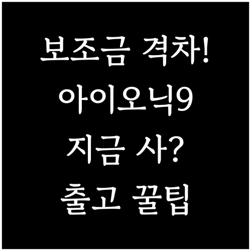 지역별 전기차 보조금 차이와 아이오닉..