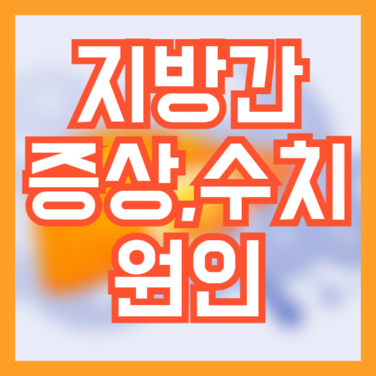 지방간 증상&#44; 수치&#44; 원인!? 피로감!? 소화불량!?