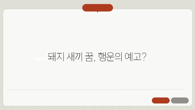 돼지 새끼 꿈