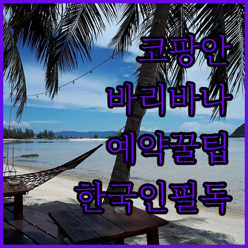 여행객을 위한 바리바나 리조트 코팡안..