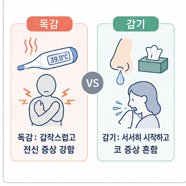갑작스럽고 전신 증상이 강한 독감과 서서히 시작하는 감기의 차이