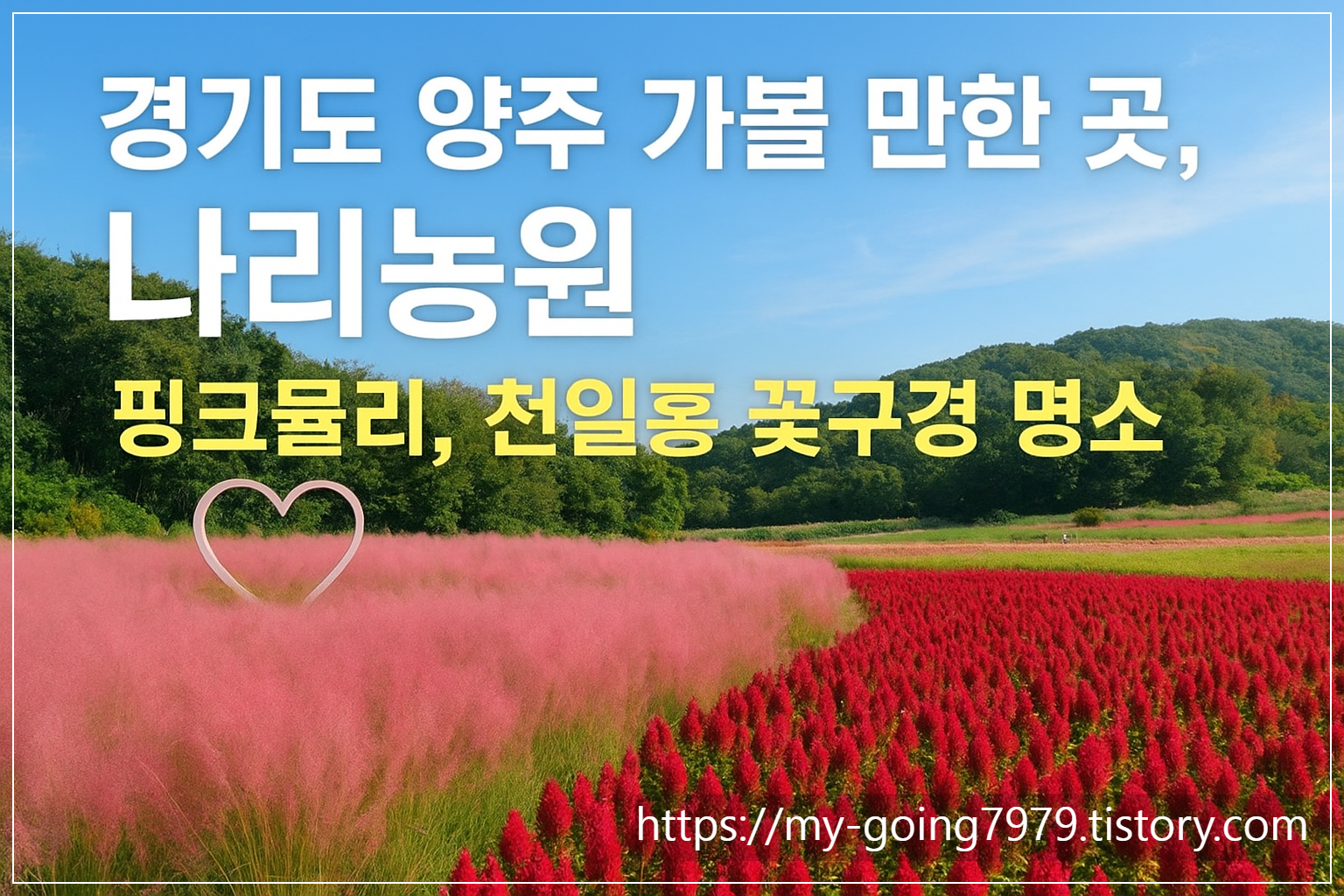 경기도양주시가볼만한곳나리농원/사진