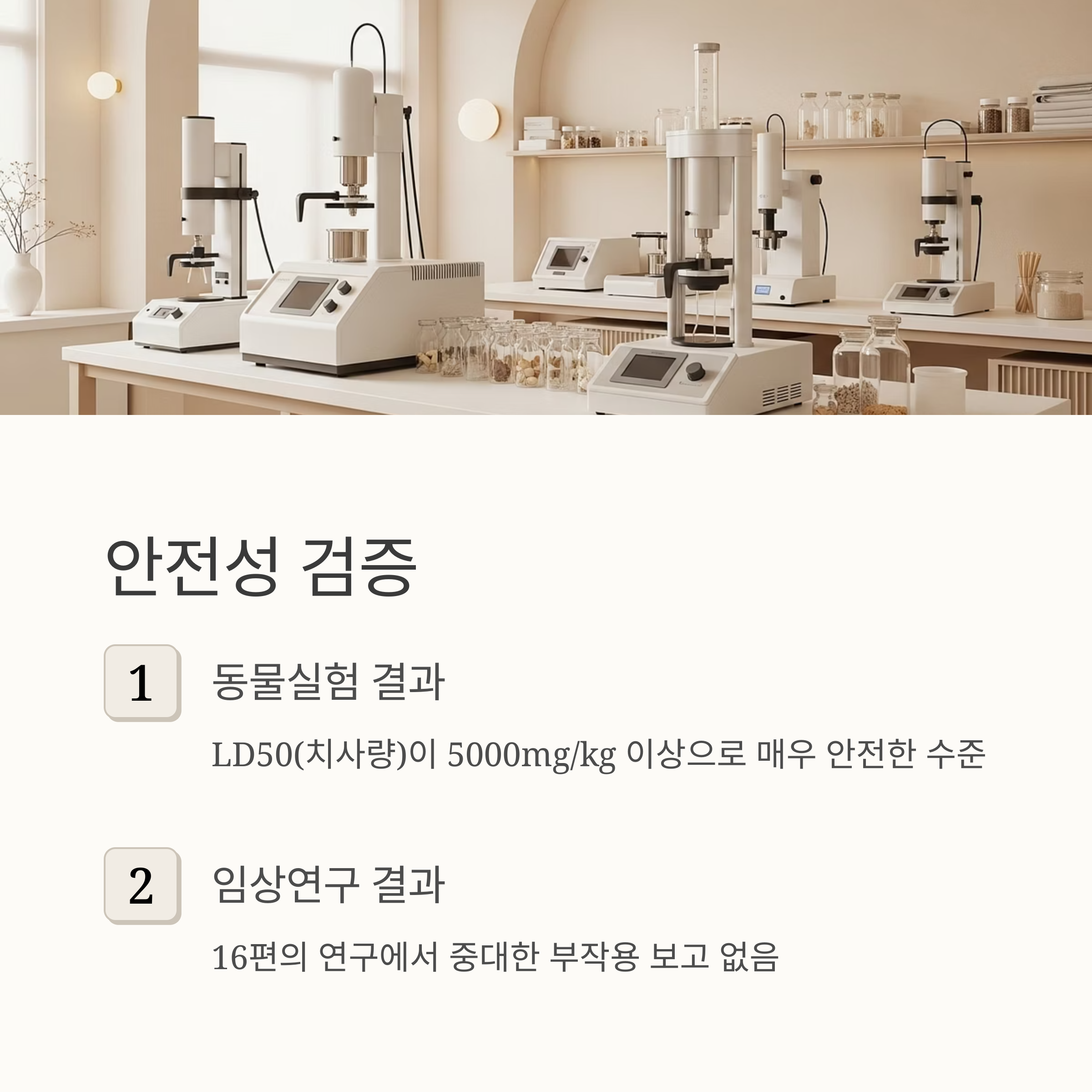 안전성 검증