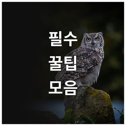 이것 모르면 손해 2025 어업인 1..