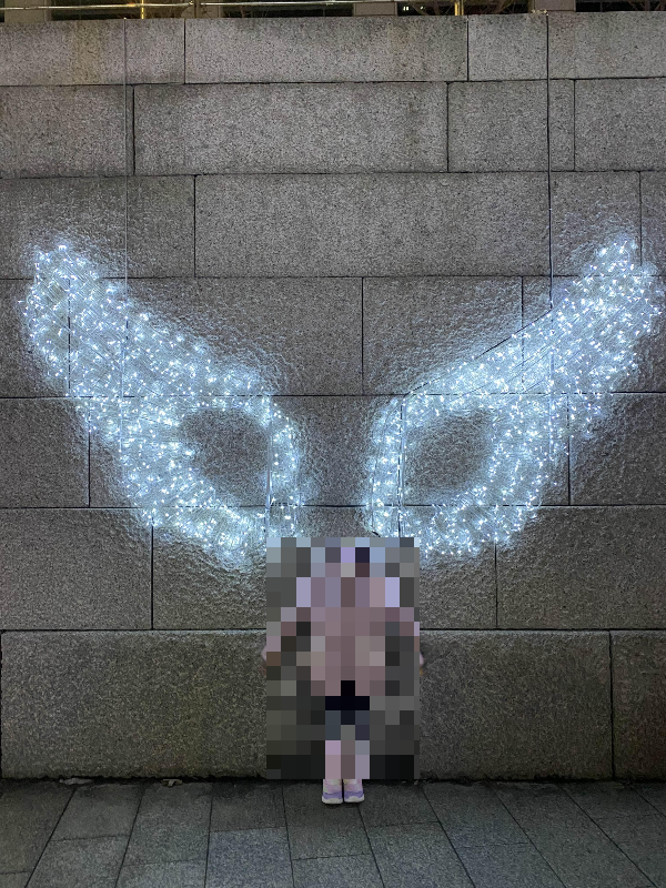 천사 날개 빛초롱 조명 축제