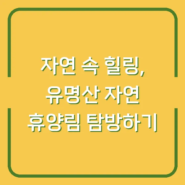 자연 속 힐링, 유명산 자연 휴양림 탐방하기