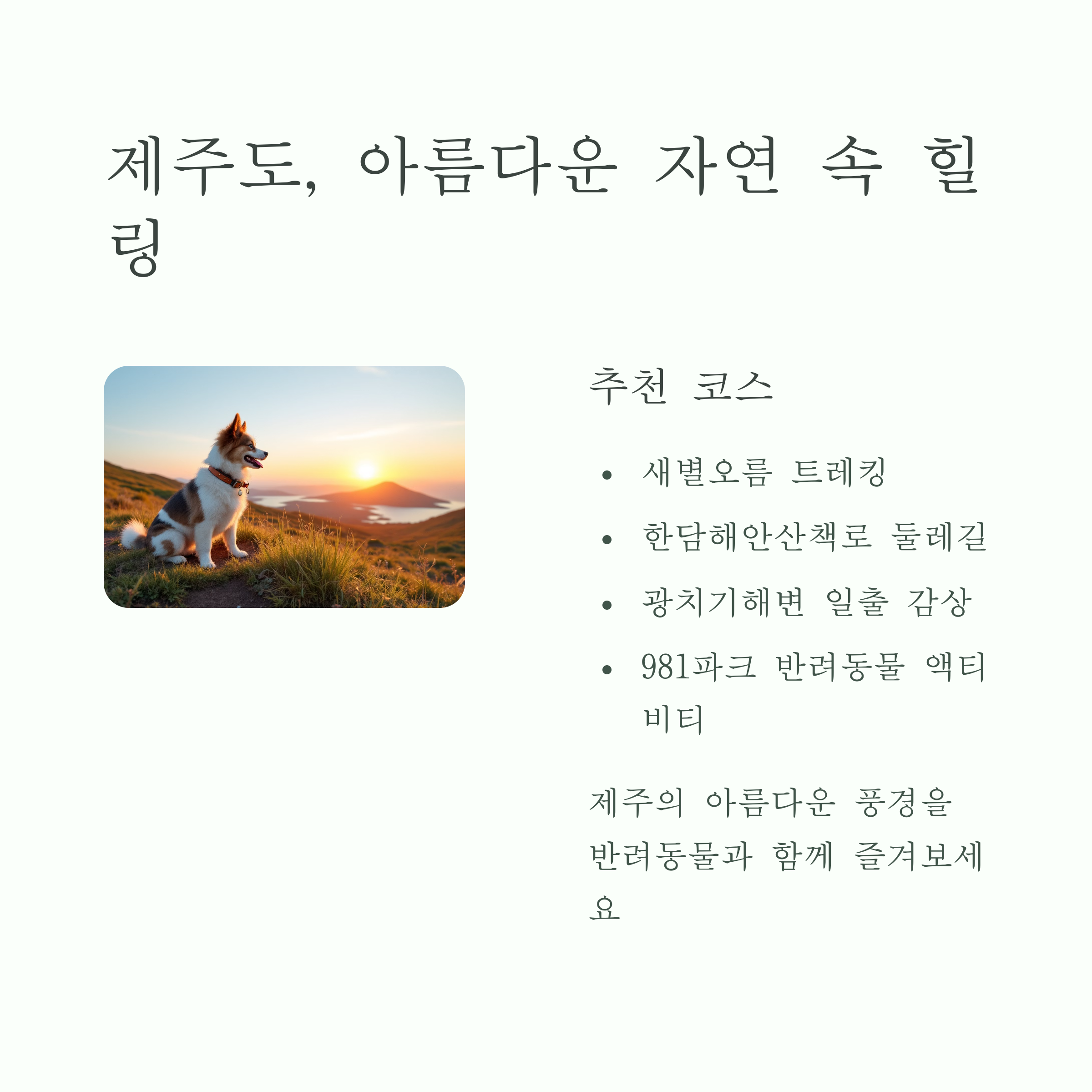 제주도, 아름다운 자연속 힐링