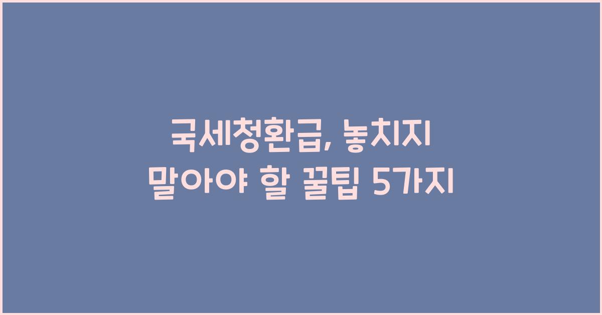 국세청환급