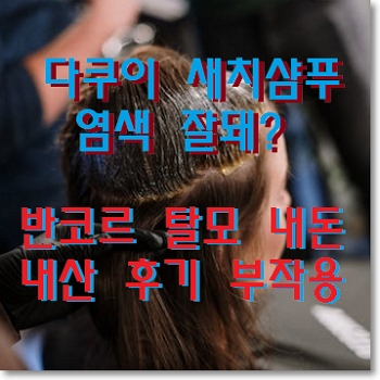다쿠이 새치샴푸 염색 잘돼?