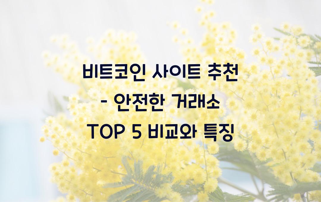 비트코인 사이트 추천 – 안전한 거래소 TOP 5