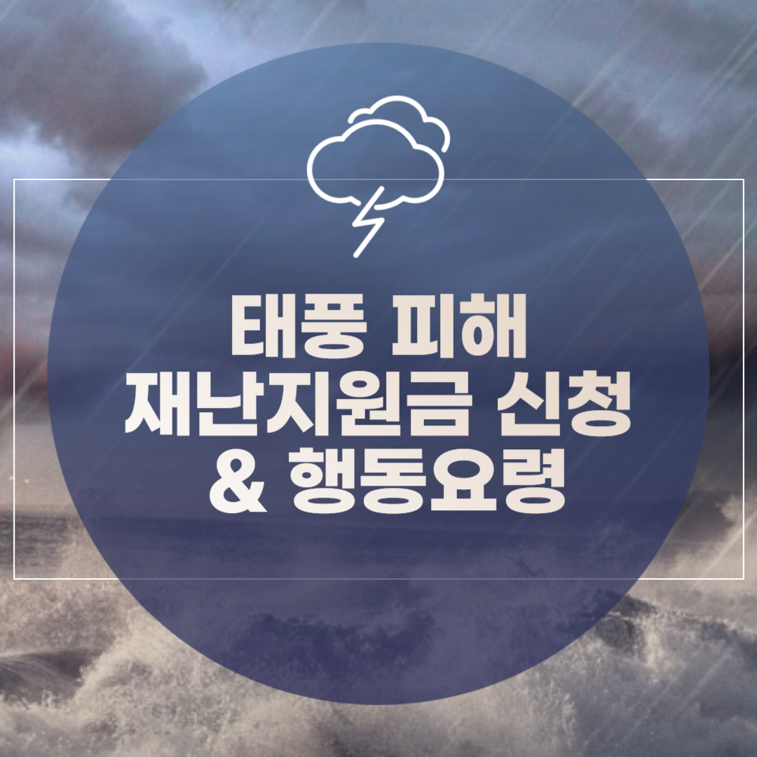 태풍 피해 지원금