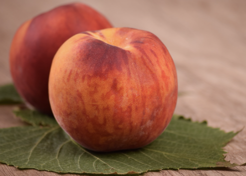 복숭아 보관방법 5