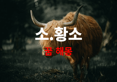 꿈에 소가 나오면 길몽? 재물? 로또당첨?(소나오는꿈, 소잡는꿈, 황소꿈, 젖소꿈, 송아지꿈, 암소꿈, 한우꿈, 소고기먹는꿈, 큰소꿈, 작은소꿈, 외양간꿈, 목장꿈, 축사꿈, 우유짜는꿈, 젖먹이는..