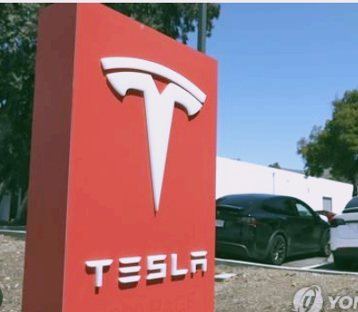 테슬라 주가 전망 실적 배당금 분석