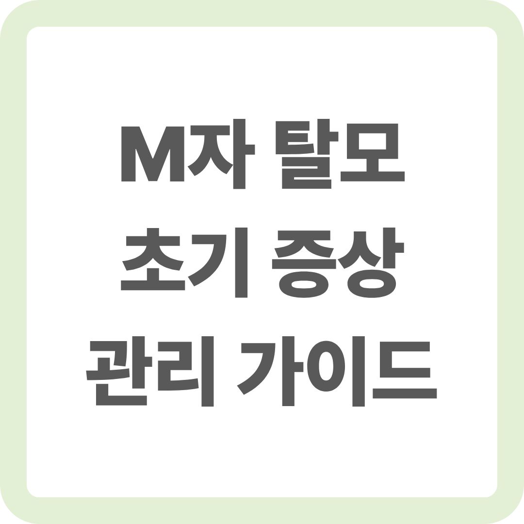 m자 탈모에 대한 썸네일