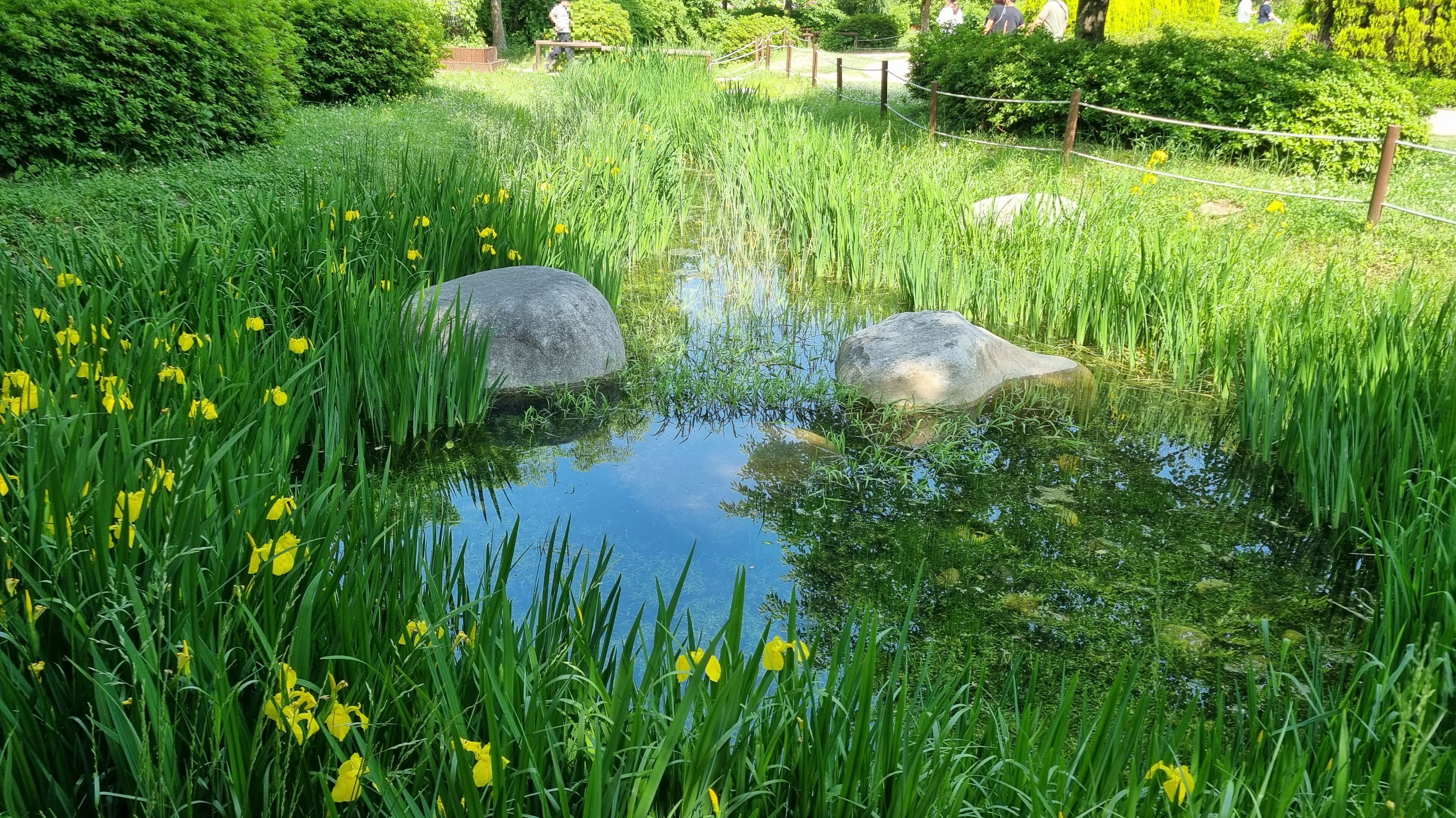 인천대공원 습지