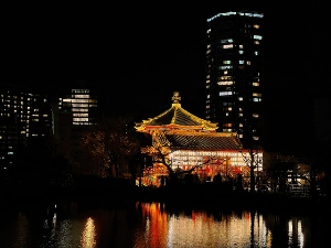 도쿄 여행 추천 우에노 공원