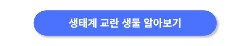 버튼