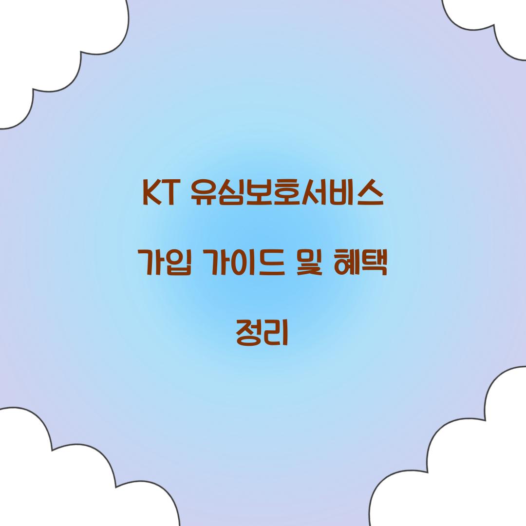 KT 유심보호서비스 가입