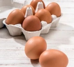 단백질 많은 음식