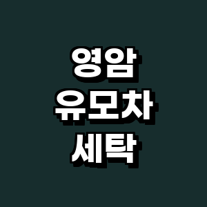 영암군 유모차 세탁