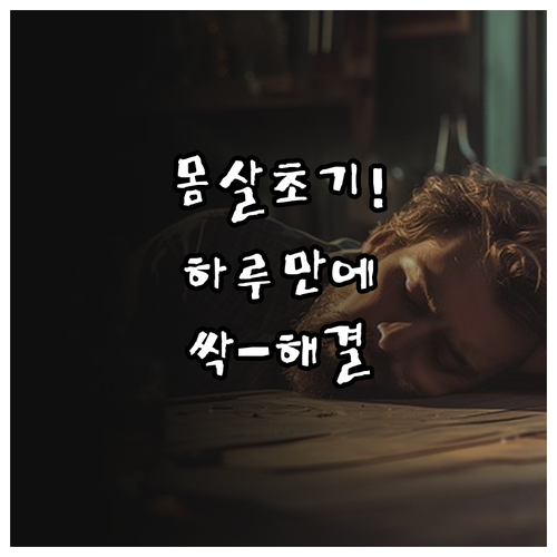 몸살 초기 증상과 하루 만에 털고 일..