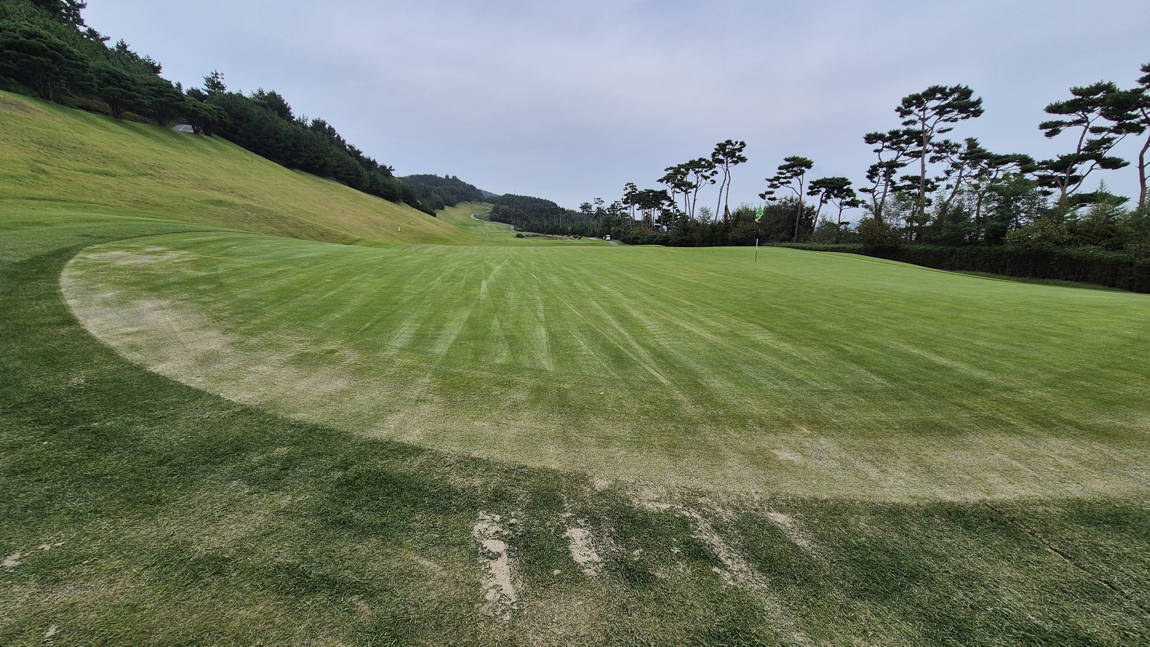 서산수cc 그린 관리 상태