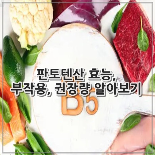 판토텐산 효능, 부작용, 권장량 알아보기