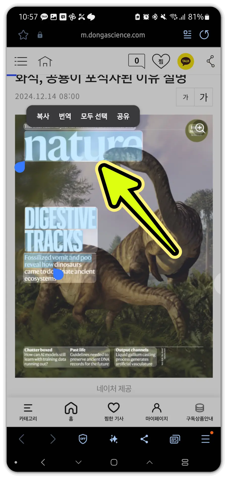 이미지-텍스트-추출-방법