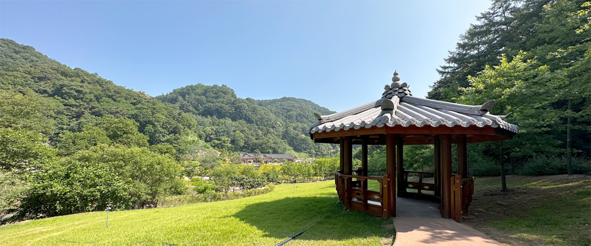 충북 진천 치유의 숲, 꼭 가야 하는 6가지 이유!