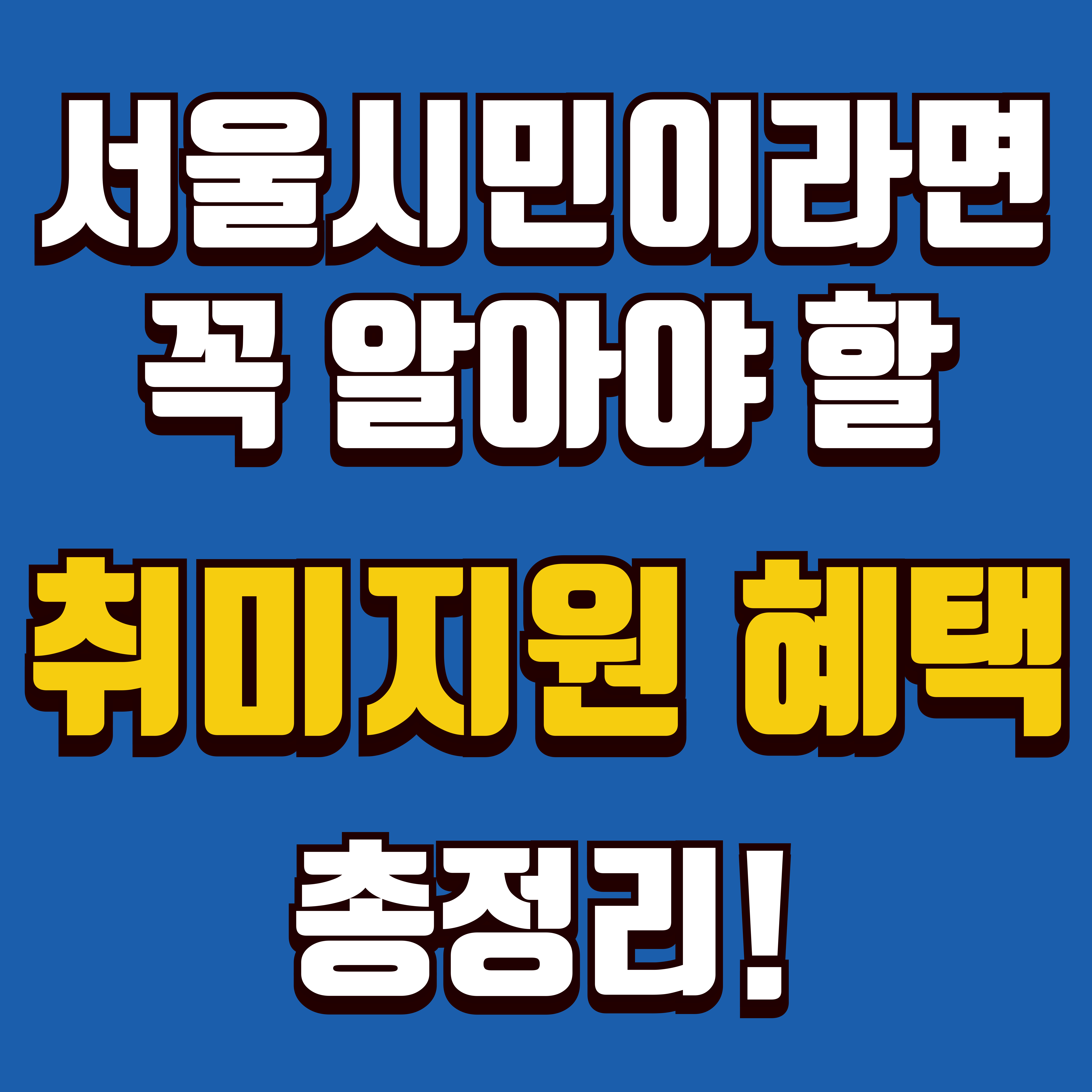 서울청년문화패스, 평생학습포털, 50플러스포털 등 서울 취미지원 소개 이미지