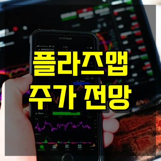플라즈맵 주가 전망