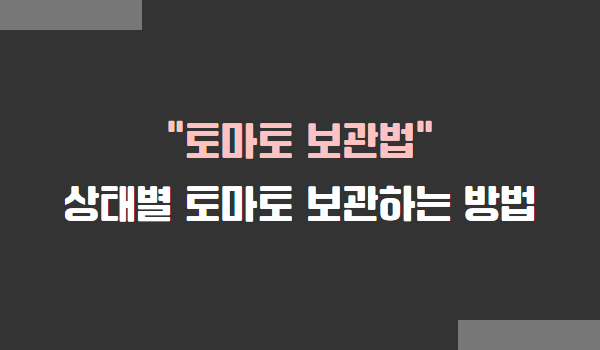 토마토 보관볍, 토마토를 싱싱하게 오래 보관하는 방법