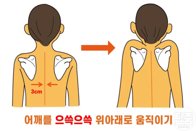 어깨결림 스트레칭 푸는법 회전근개 강화 운동