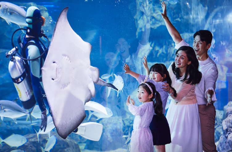 아쿠아플라넷 광교3