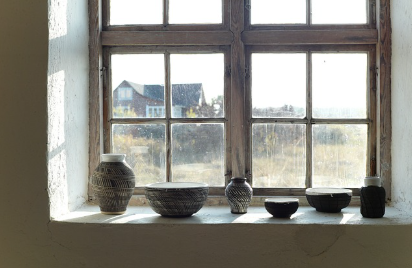 러브버그 퇴치 및 예방법