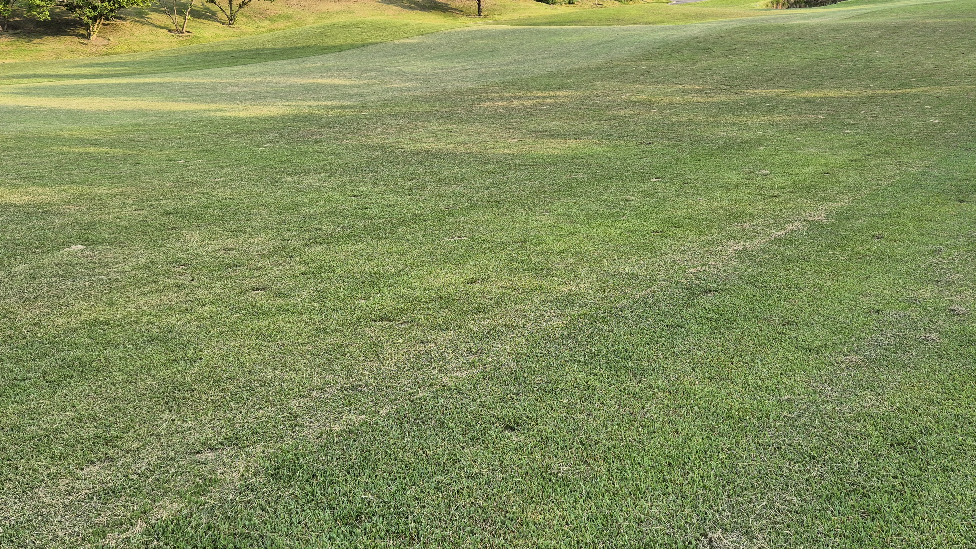 이포cc 라운드 후기