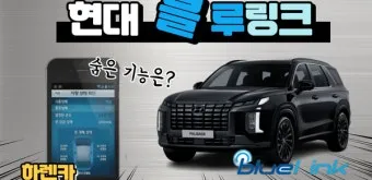 &amp;quot;블루링크에