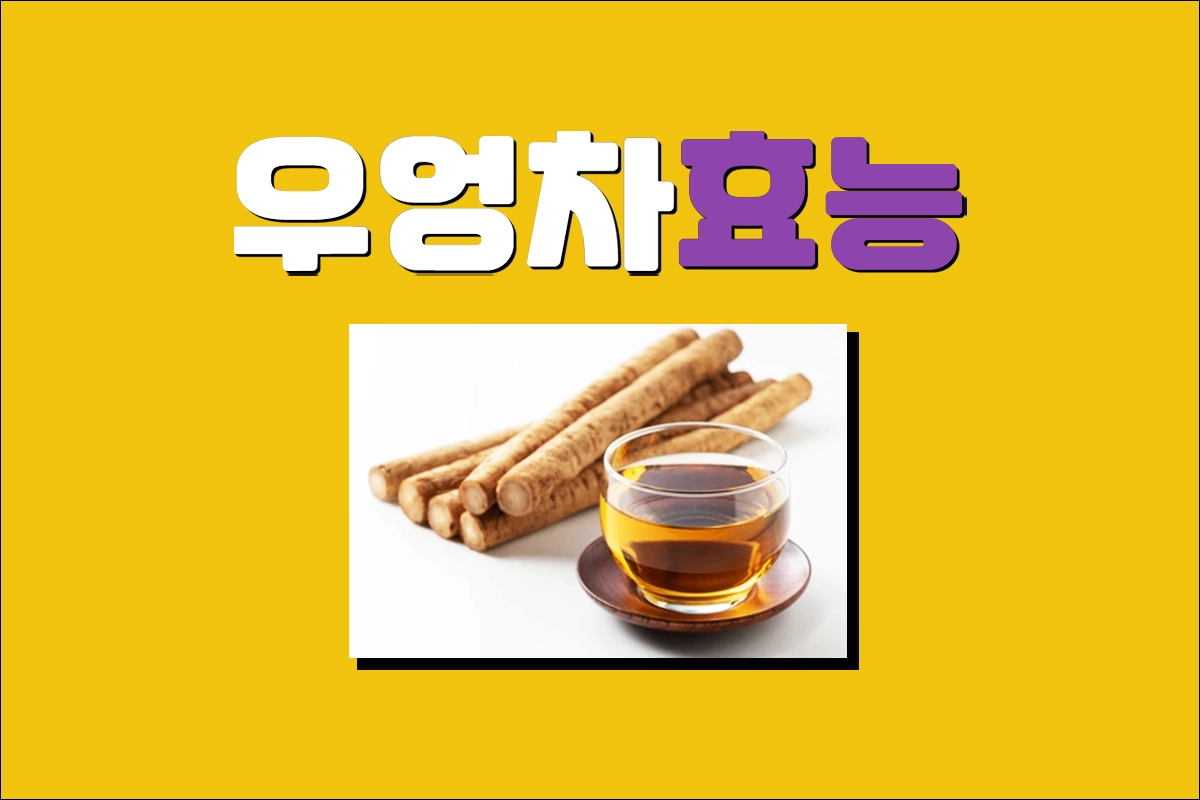 우엉차 효능 성분 영양소 섭취방법 효능 주의사항 부작용 만드는법 기한 보관방법