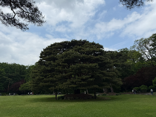 청와대 관람 예약