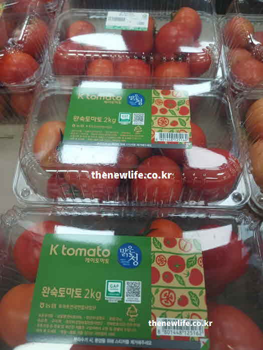토마토 효능 요리법 가열