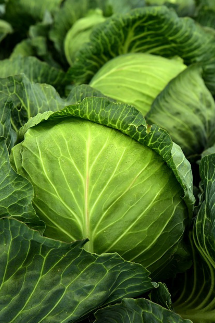 암 환자에게 좋은 영양제