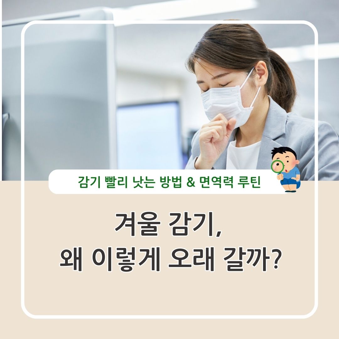 겨울 감기 빨리 낫는 방법 면역력 루틴 정리