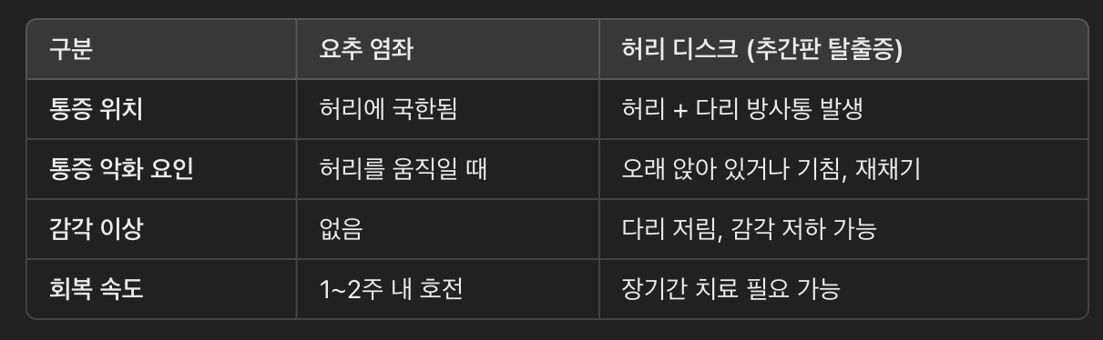 요추 염좌 vs. 디스크 탈출증(허리 디스크) 차이점