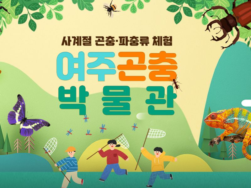 곤충 체험 프로그램