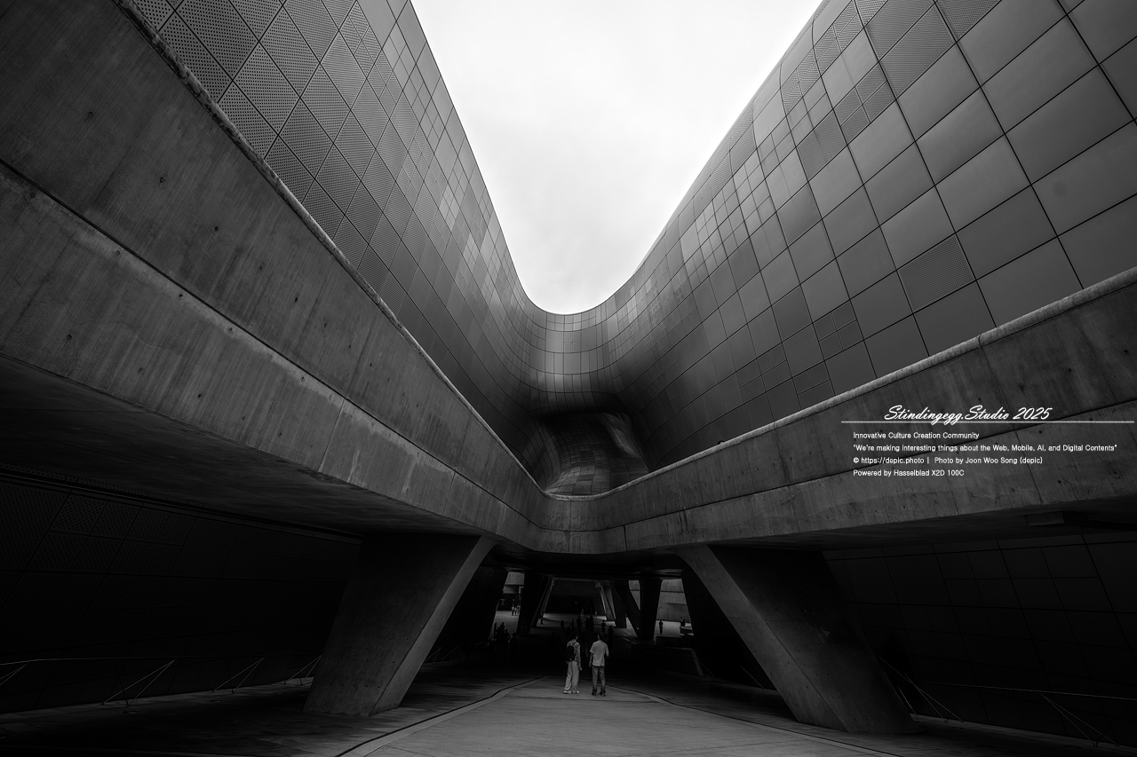 #서울 #동대문디자인플라자 #패션 #디자인 #DDP