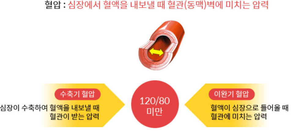 혈압이란?