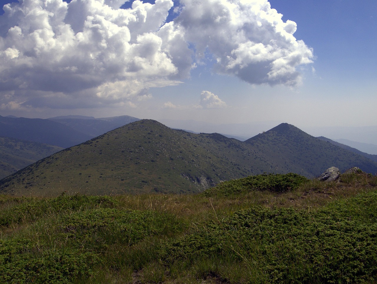 1946년 중국에서 가장 가치 있던 그림: 장대천(张大千)의 작품과 그 문화재의 여정