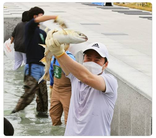 강원 세계산림엑스포 